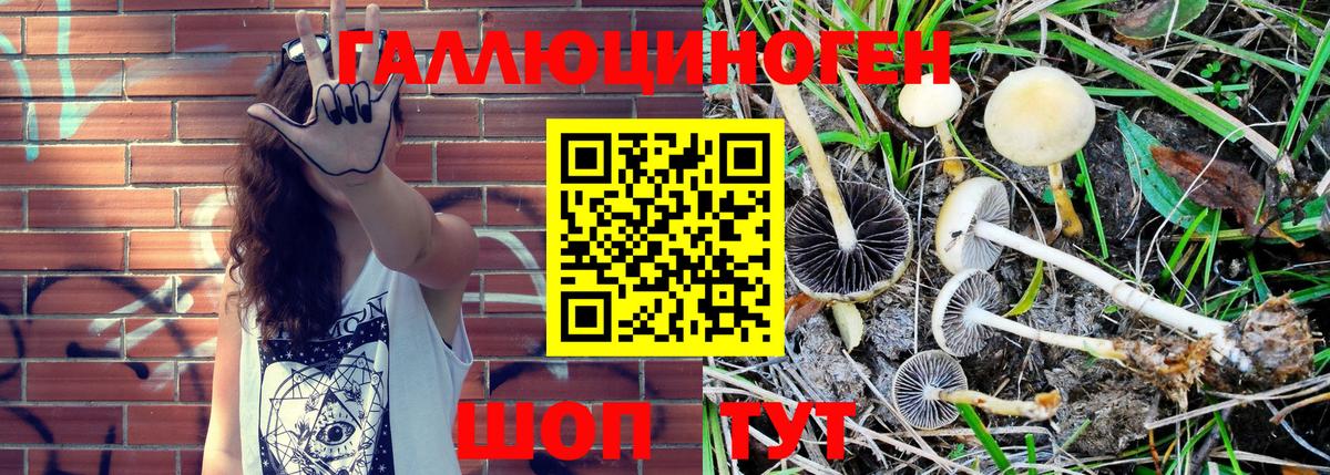 Карасук  Галлюциногенные грибы Magic Shrooms  Вход с VPN  Псилоцибиновые грибы MAGIC MUSHROOMS 